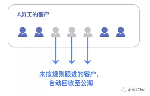 探馬crm,給你 鈔 能力